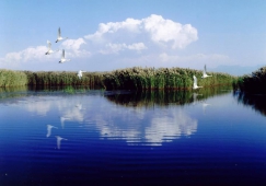 广州到巴彦淖尔物流专线,广州到巴彦淖尔运输公司