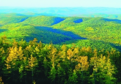 广州到大兴安岭物流专线,广州至大兴安岭货运公司