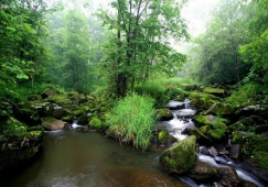 广州到伊春物流专线,广州至伊春货运公司