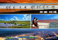 广州到昭通物流公司,广州至昭通货运专线,运输公司电话