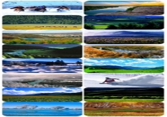 广州到阿勒泰物流专线,广州到新疆阿勒泰货运价格