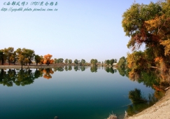 广州到阿克苏物流专线,广州到新疆阿克苏货运公司