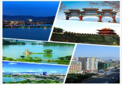 广州到肇庆物流专线,广州至肇庆货运公司