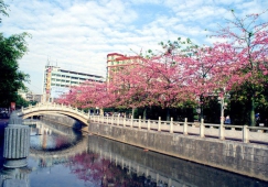 广州到遂溪物流专线,广州到遂溪货运公司