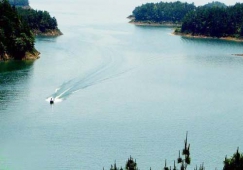 广州到孝感物流专线,广州到孝感货运公司