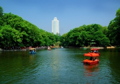 广州到邵阳物流专线,广州到邵阳货运公司