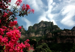 广州到安阳物流专线,广州到安阳货运公司