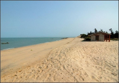 广州到东方物流专线,广州到东方货运公司