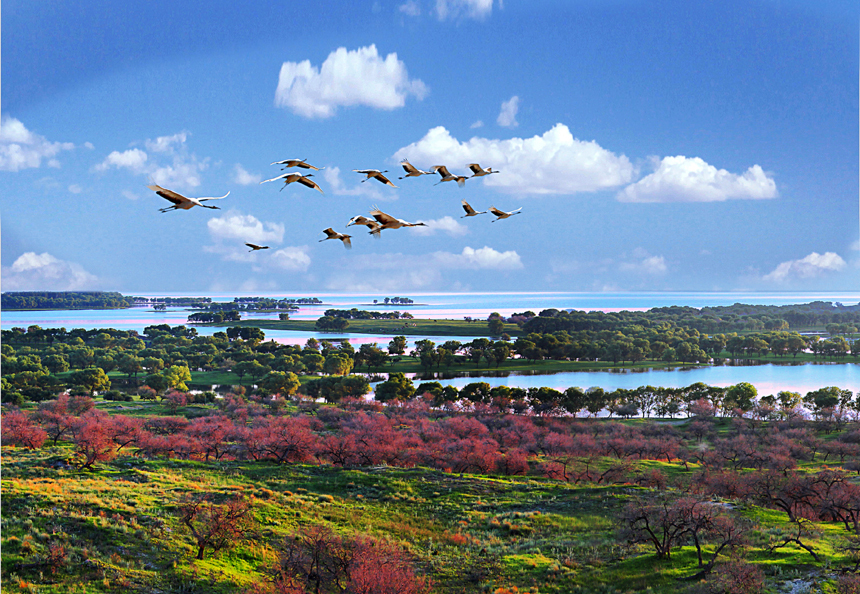 佛山到白城物流专线/佛山到白城货运公司(图1) 1-200F5152203346.jpg